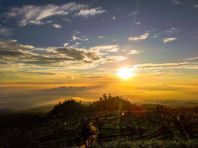 Pesona desa munding - <p>Desa Munding terletak di lereng Gunung Ungaran tepatnya di Kecamatan Bergas, Kabupaten Semarang, Provinsi Jawa Tengah. Desa Munding pada mulanya didirikan oleh pasangan suami istri yang berasal dari keturunan Kerajaan Demak.&nbsp;</p>